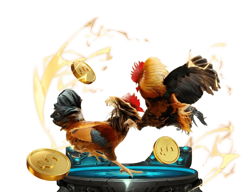 Mẹo cá cược đá gà 98win98